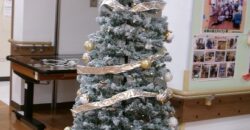 早々と、ツリーの登場です🎄